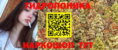 гидропоника Малгобек