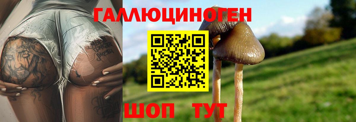 Псилоцибиновые грибы мухоморы Десногорск